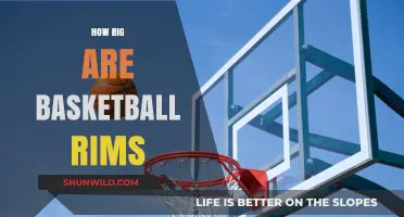 Basketball Rim Dimensions: How Big is the Hoop?