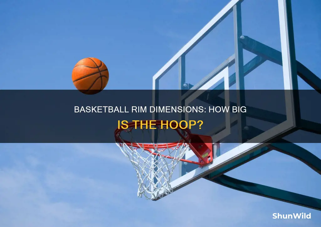 how big are basketball rims