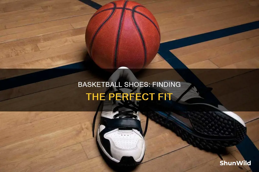 how big are basketball shoes should fit