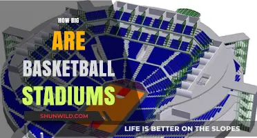 The Massive Scale of Basketball Stadiums