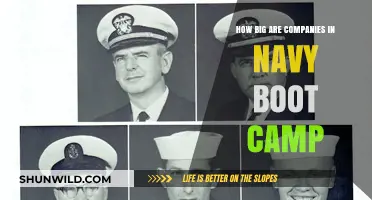 Understanding Company Sizes in Navy Boot Camp: A Comprehensive Guide