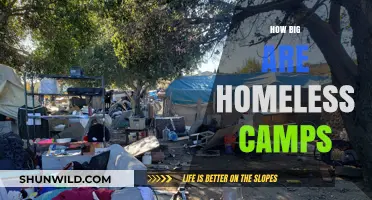 Exploring the Size and Scale of Homeless Encampments Nationwide