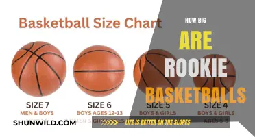 Rookie Basketballs: Understanding Their Size and Significance