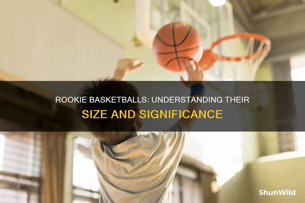 how big are rookie basketballs