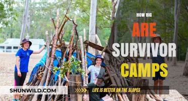 Exploring the Size and Scale of Survivor Camps in the Wild