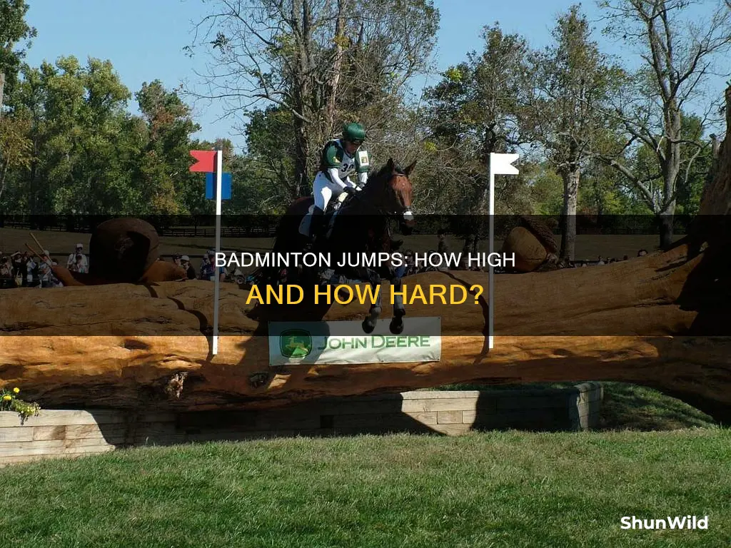 how big are the jumps at badminton
