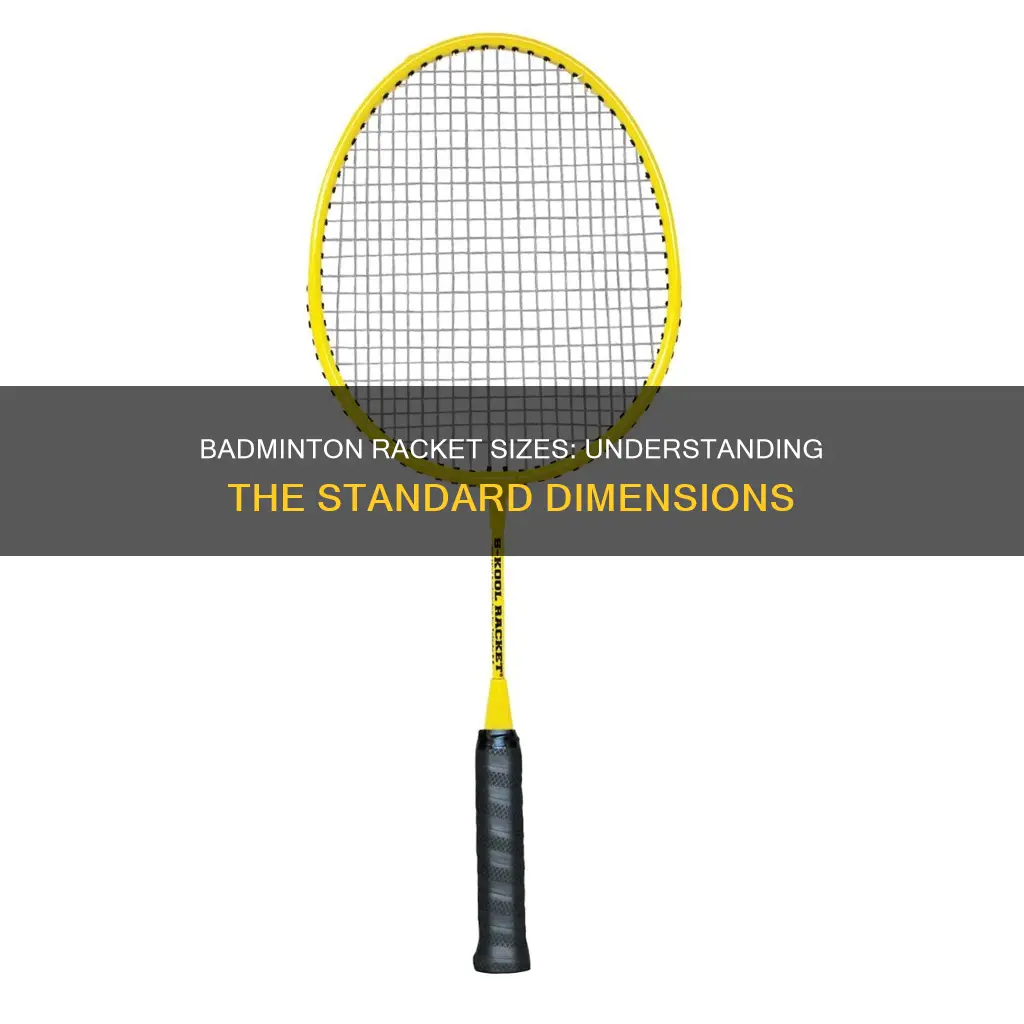 how big are the racquets in badminton