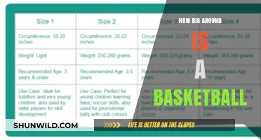 The Standard Basketball Circumference: How Big is it Really?