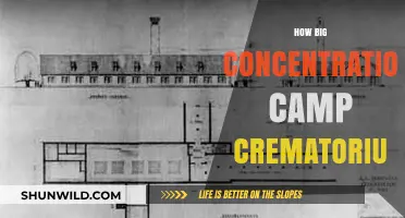 Unveiling the Scale: Concentration Camp Crematorium Dimensions Explored