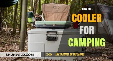 Choosing the Perfect Cooler Size for Your Camping Adventure