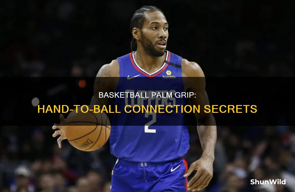 how big hand to palm basketball