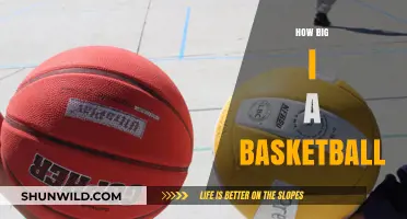 The Size of a Basketball: Official Measurements and More