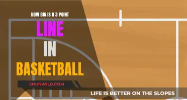 The Surprising Truth: Unveiling the Exact Dimensions of the 3-Point Line