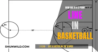 The Length of Basketball's 3-Point Line