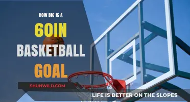 The Massive 60-Inch Basketball Goal: How Big Is It?
