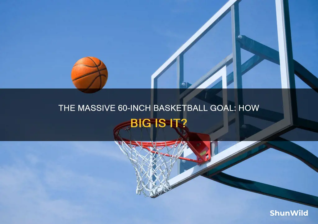 how big is a 60in basketball goal