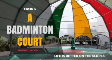 Badminton Court Size: Understanding the Playing Area