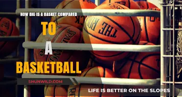 Basket vs Basketball: Understanding the Size Difference
