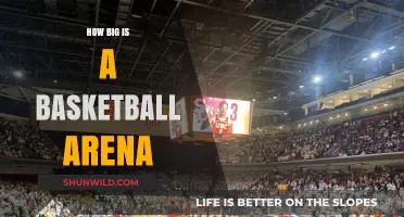 The Massive Scale of Basketball Arenas