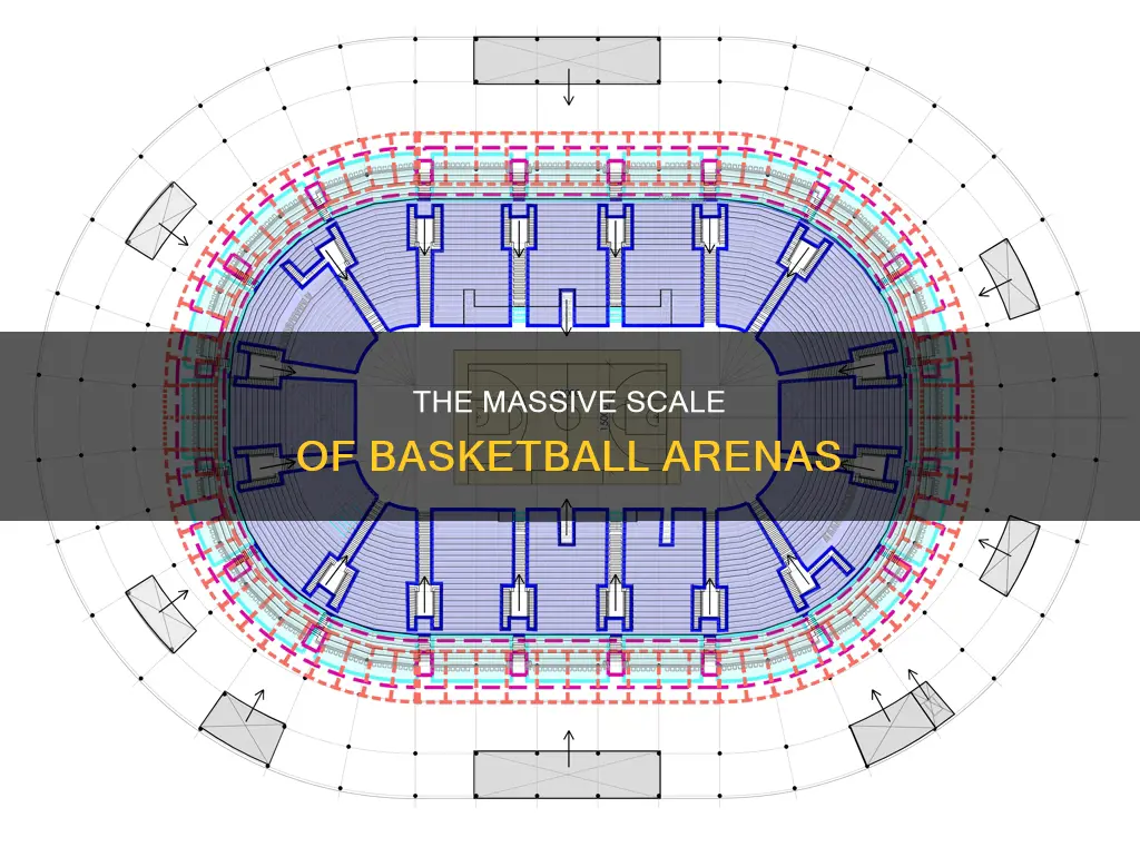 how big is a basketball arena