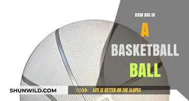 The Standard Basketball Size: Official Measurements