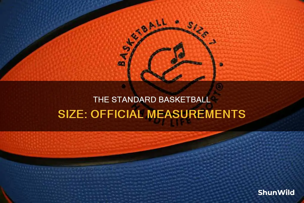 how big is a basketball ball