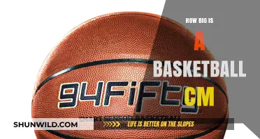 The Size of a Basketball: Understanding the Standard Dimensions