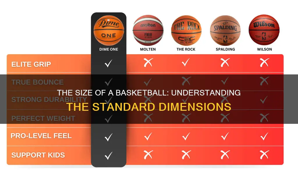 how big is a basketball cm