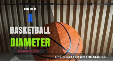 The Standard Basketball Diameter: How Big is it?