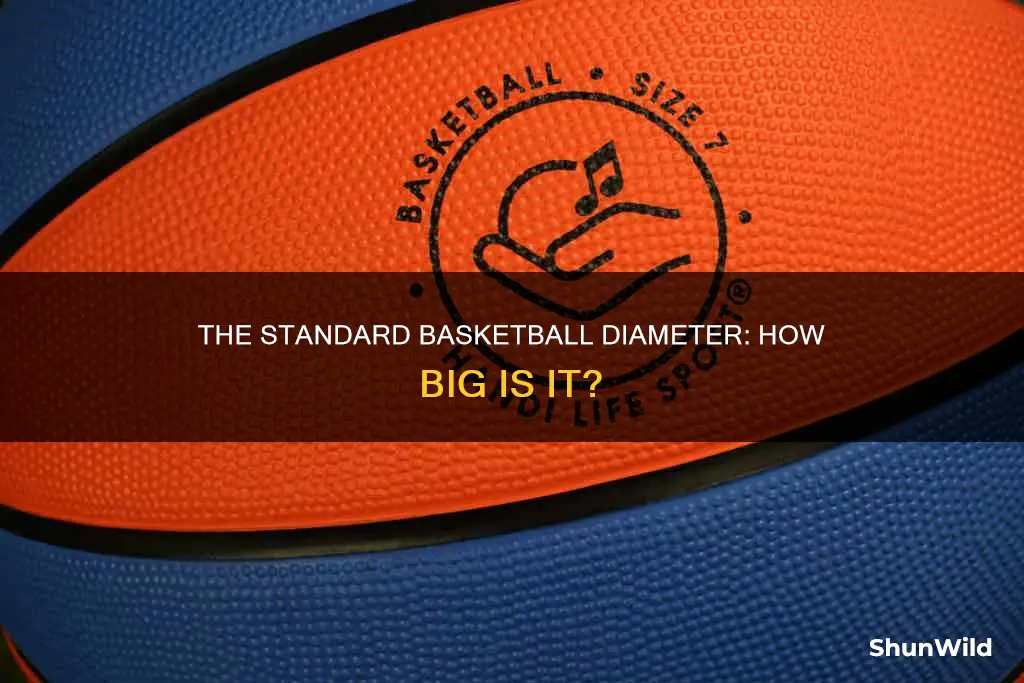 how big is a basketball diameter
