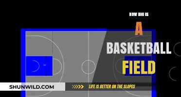 The Basketball Court: Dimensions and Layout