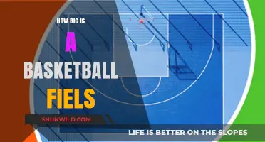 The Standard Basketball Court Size: How Big Is It?