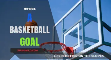 The Standard Basketball Goal Size for Optimal Play