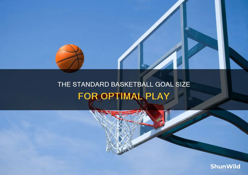 how big is a basketball goal