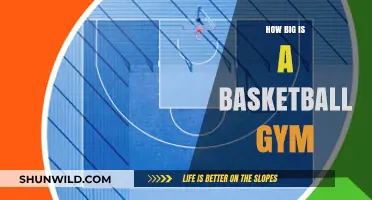 The Massive Space of Basketball Gyms