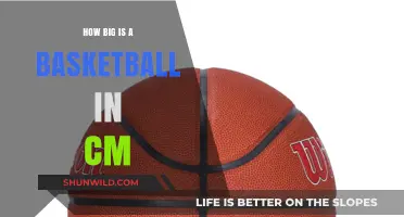 The Size of a Basketball in Centimeters