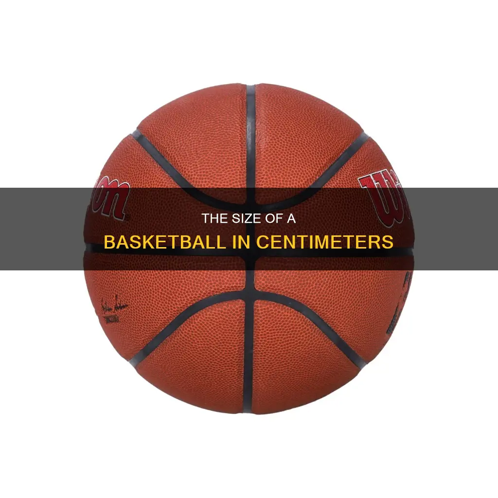 how big is a basketball in cm