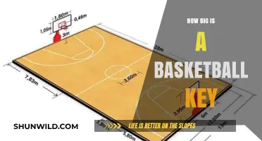 The Basketball Key: Understanding the Size and Scope