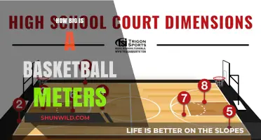 Basketball Court Dimensions: Understanding the Standard Sizes