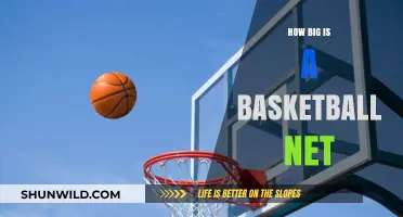 The Standard Basketball Hoop Size: What You Need to Know