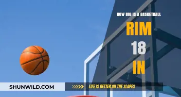 Rim Diameter: Basketball's 18-inch Standard