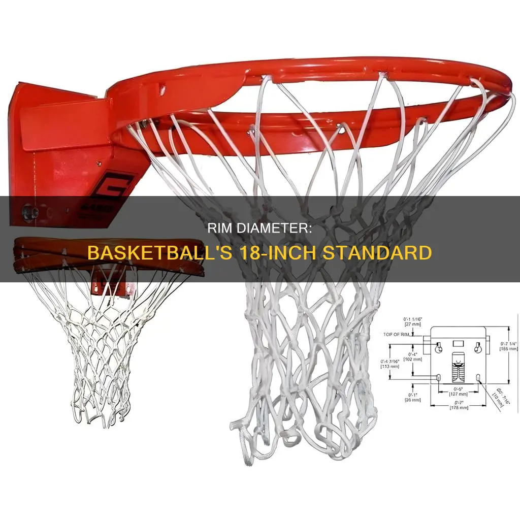 how big is a basketball rim 18 in