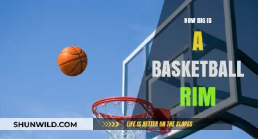 Basketball Rim Size: Standardized Dimensions for Hoops