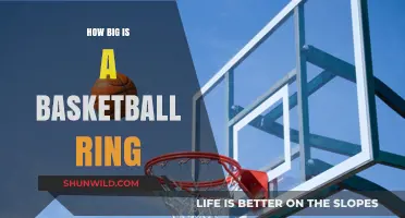 The Standard Basketball Hoop Size: Diameter and Dimensions