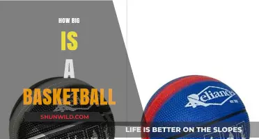 The Size of a Basketball: Official Measurements and More