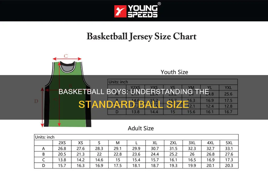 how big is a boys basketball