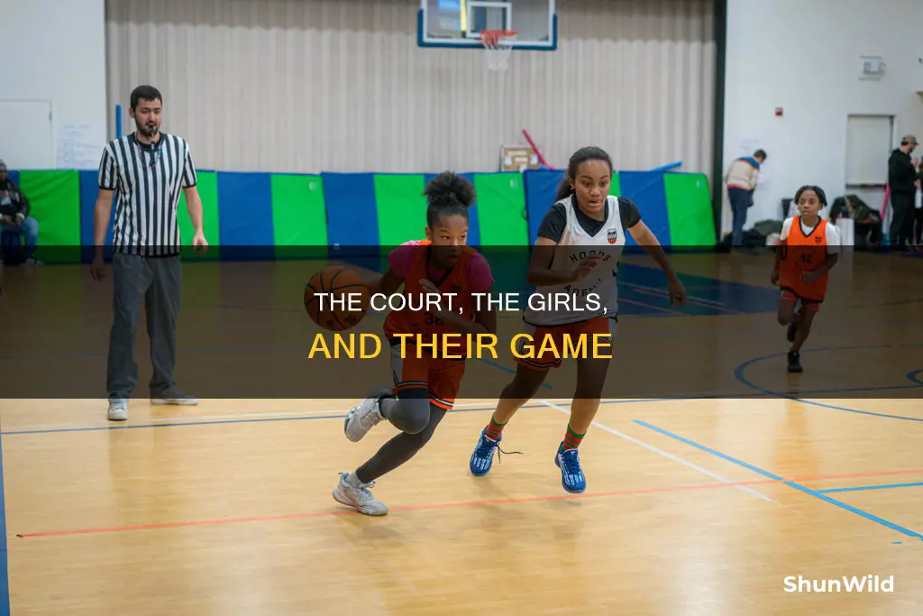 how big is a girls highschool basketball