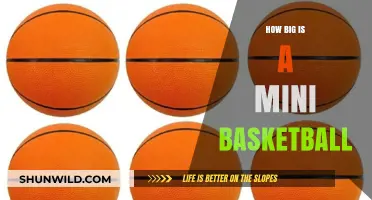 The Mini Basketball's Size: A Small Guide