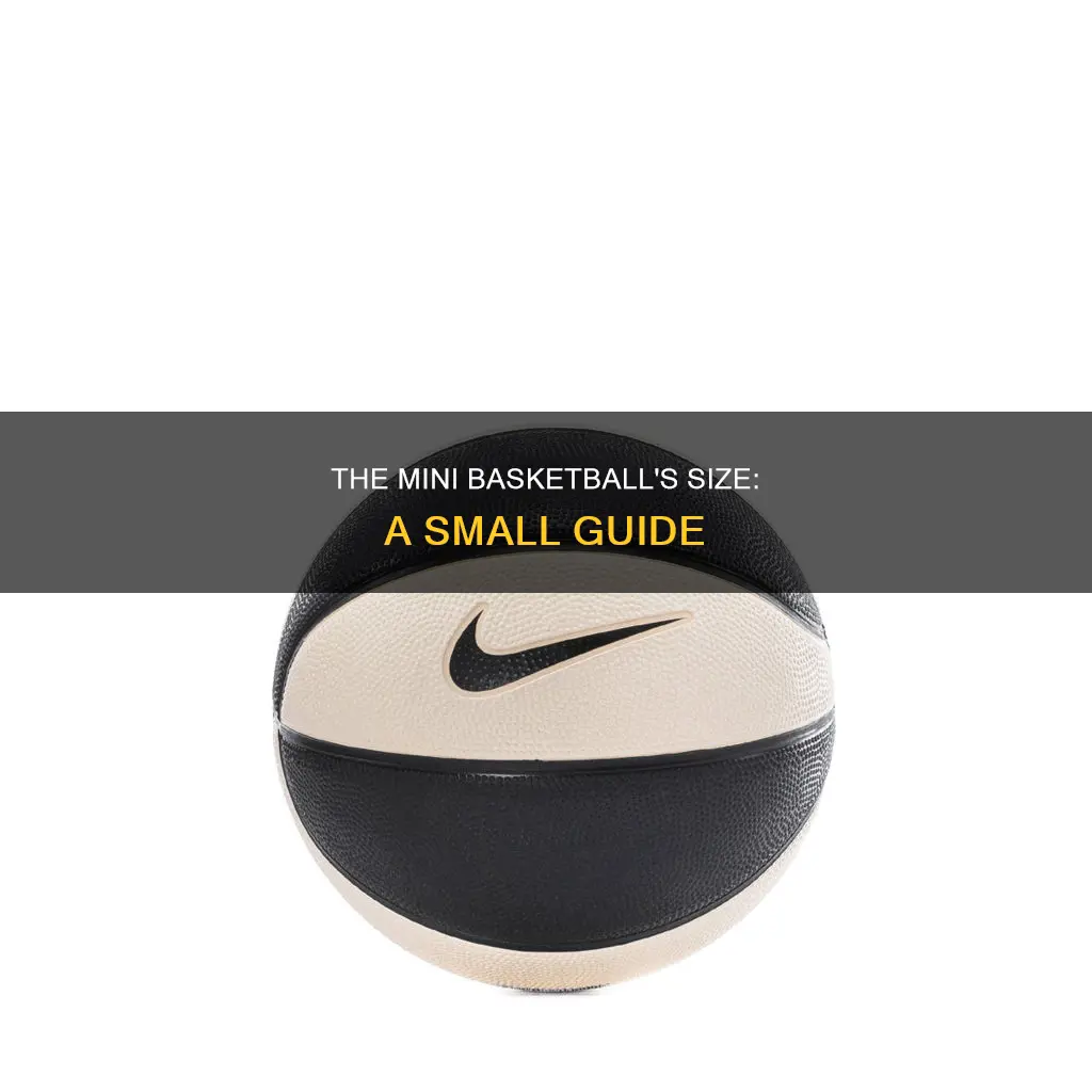 how big is a mini basketball