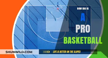 Basketball Size: Pro Game, Big Impact